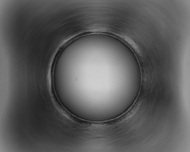 X0000093530840200710121558