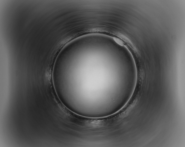 X0000093530841200710121558