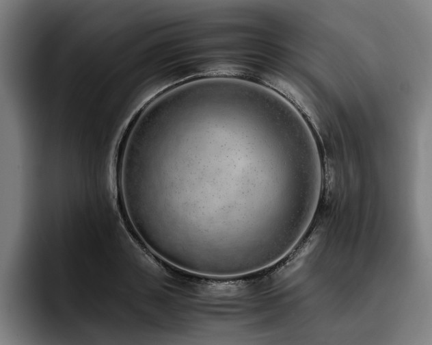 X0000093530843200710121558
