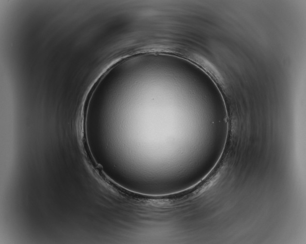 X0000093530844200710121558