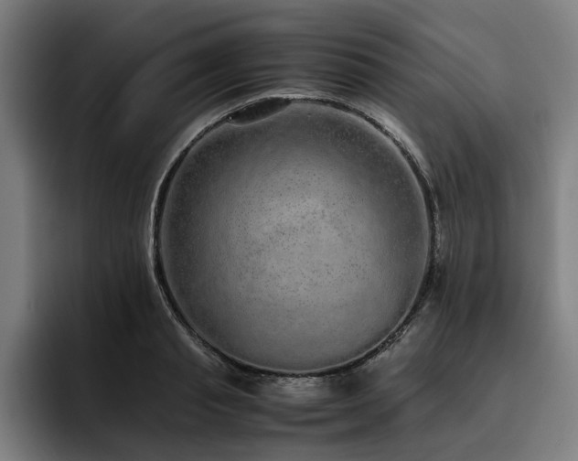 X0000093530845200710121558
