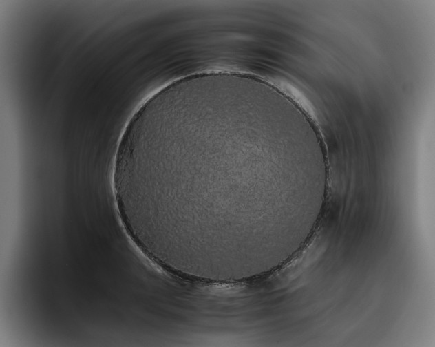 X0000093530847200710121558