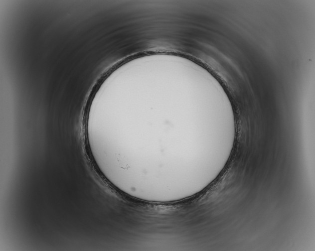X0000093530848200710121558