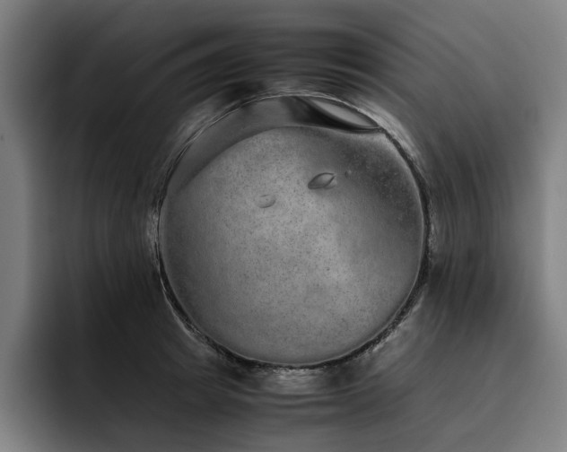 X0000093530849200710121558