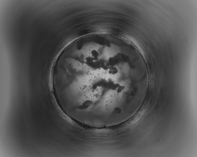 X0000093530851200710121558