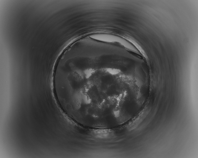 X0000093530853200710121558