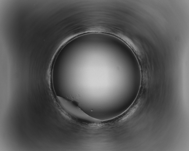 X0000093530854200710121558