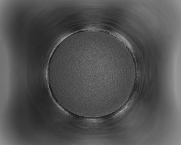 X0000093530855200710121558