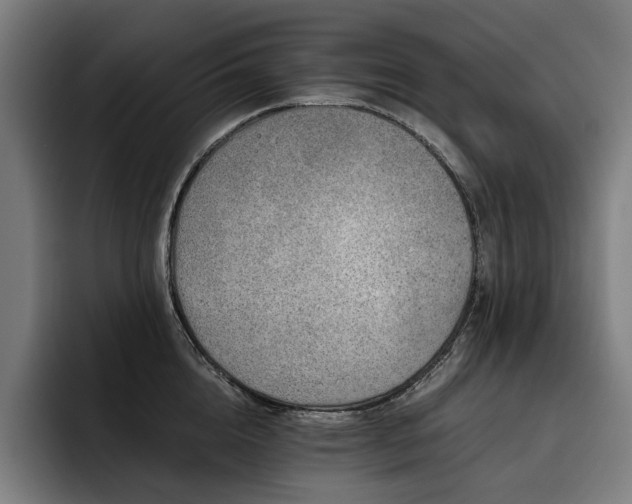 X0000093530856200710121558