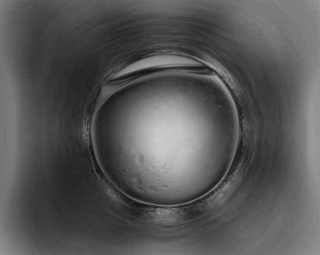 X0000093530857200710121558