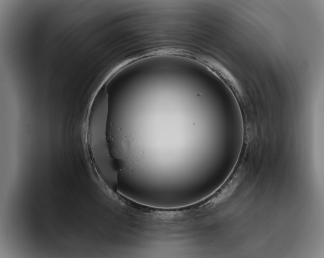 X0000093530860200710121558