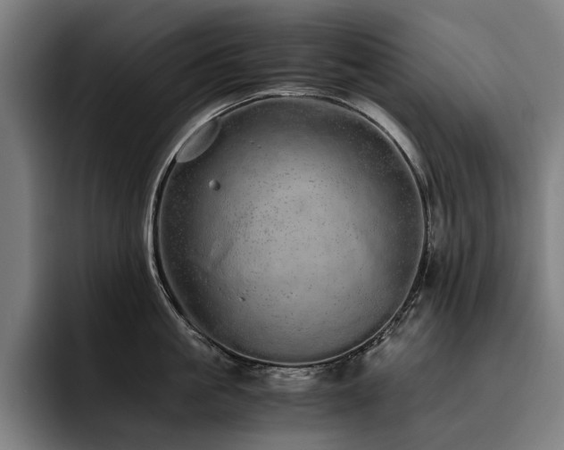 X0000093530861200710121558
