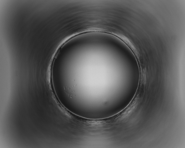 X0000093530862200710121558