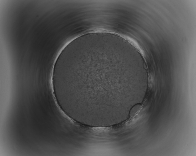 X0000093530863200710121558