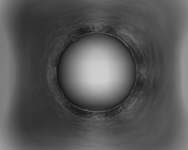 X0000093530865200710121557