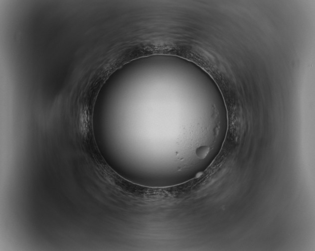 X0000093530866200710121557