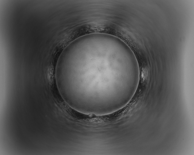 X0000093530867200710121557
