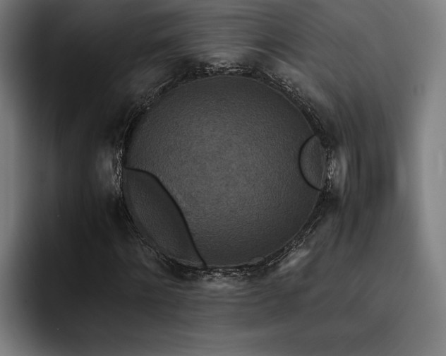 X0000093530868200710121557