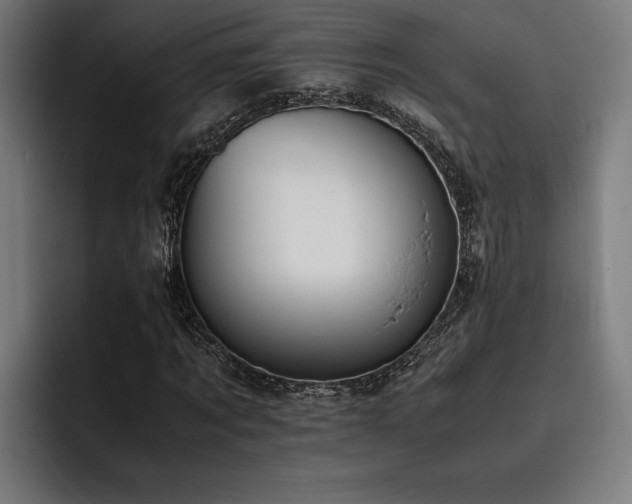 X0000093530869200710121557