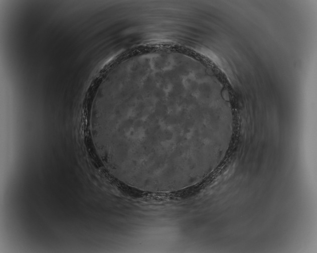 X0000093530871200710121557
