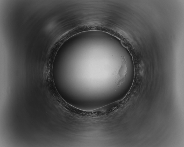 X0000093530872200710121557