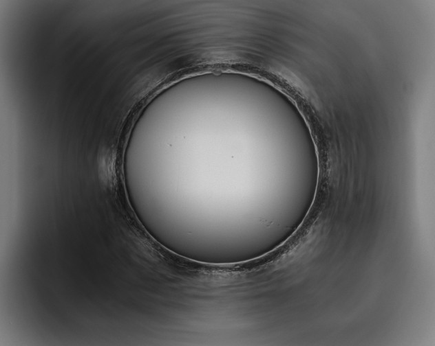 X0000093530873200710121557