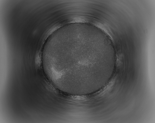X0000093530874200710121557