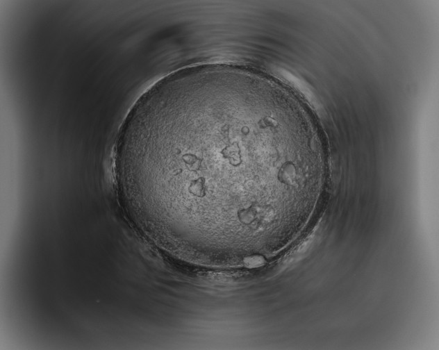 X0000093530875200710121557
