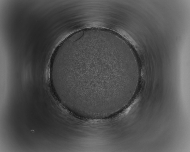 X0000093530877200710121557