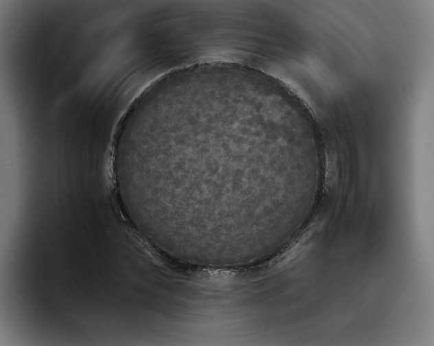 X0000093530878200710121557