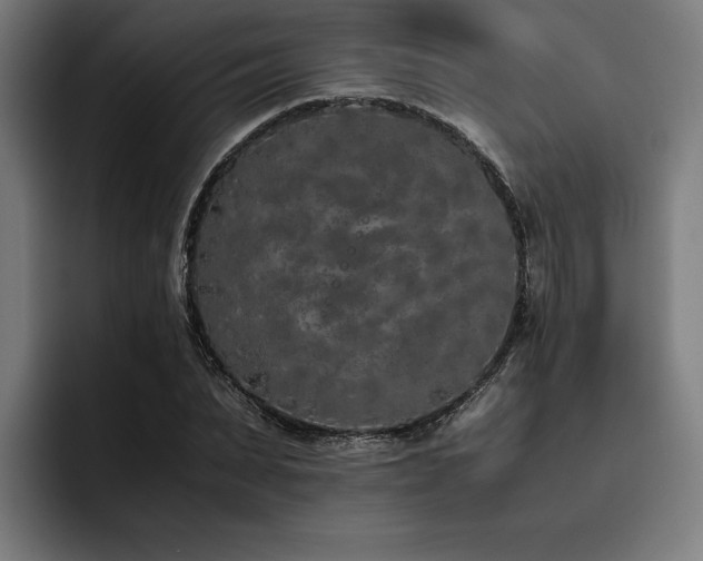X0000093530879200710121557