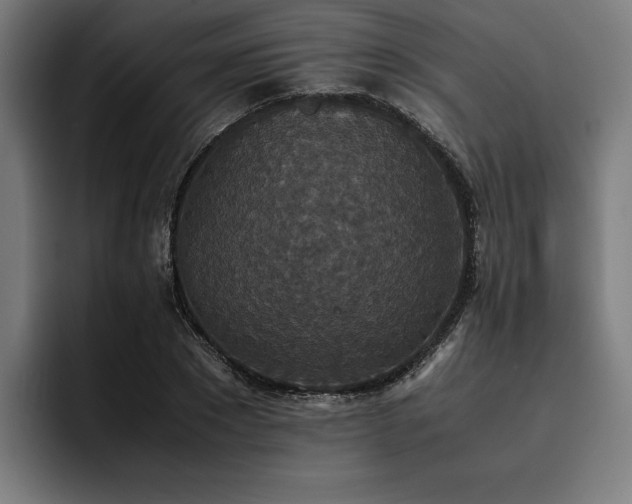 X0000093530881200710121557