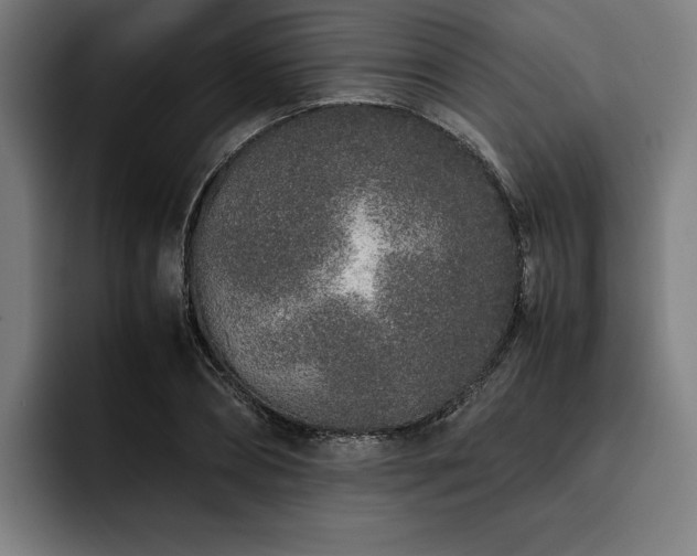 X0000093530882200710121557