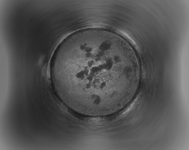 X0000093530883200710121557