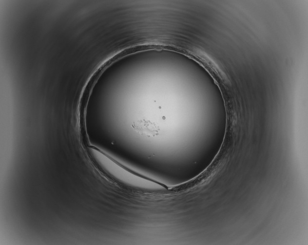 X0000093530884200710121557