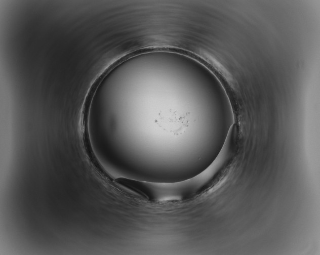 X0000093530885200710121557