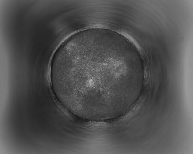 X0000093530886200710121557