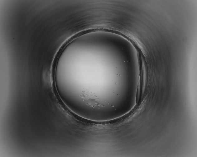 X0000093530888200710121557