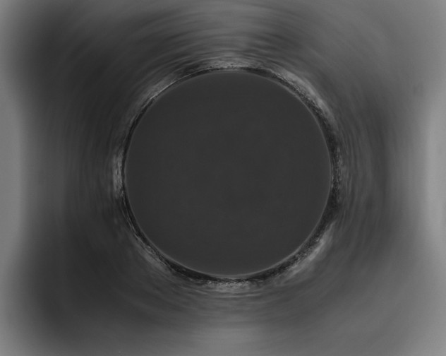 X0000093530889200710121557