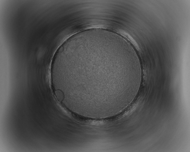 X0000093530890200710121557