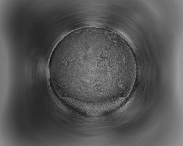 X0000093530891200710121557