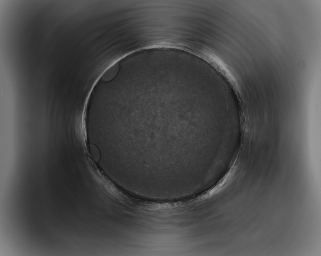 X0000093530892200710121557
