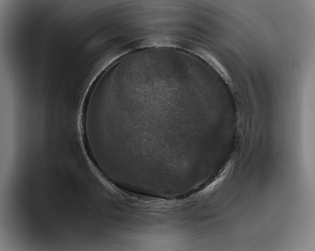 X0000093530893200710121557