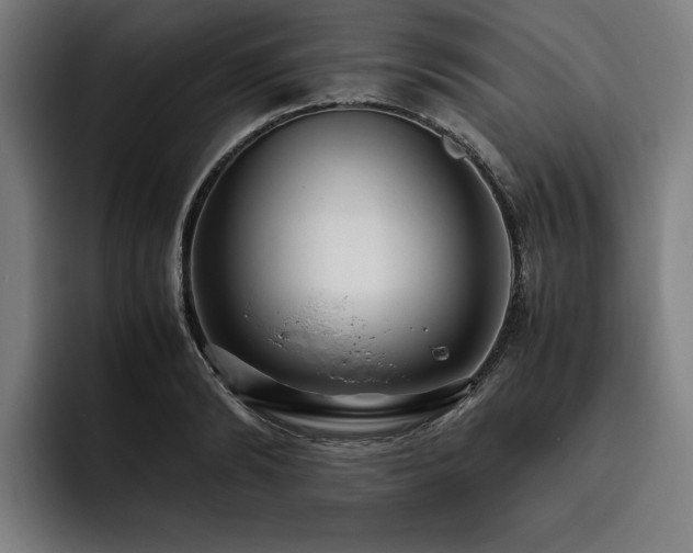 X0000093530894200710121557