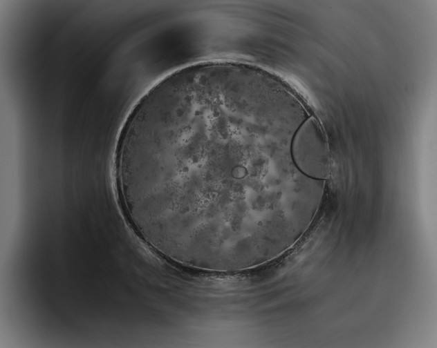 X0000093530895200710121557