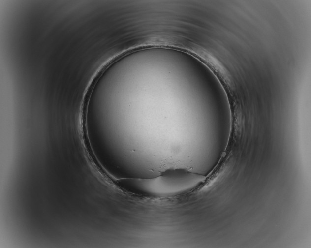 X0000093530896200710121557