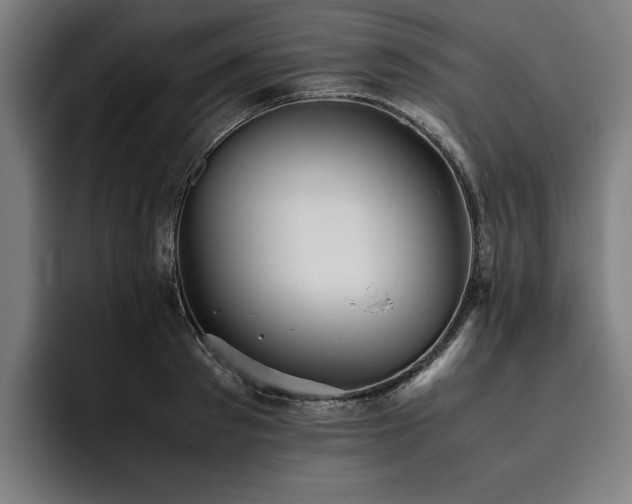 X0000093530897200710121557