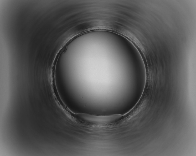 X0000093530898200710121557