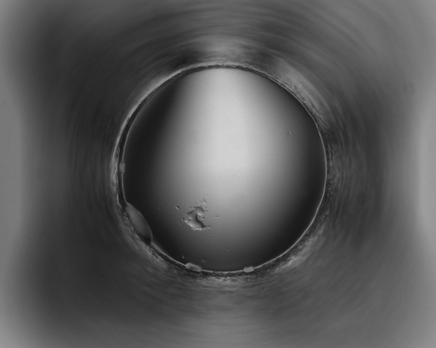 X0000093530900200710121557