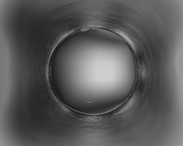 X0000093530901200710121557